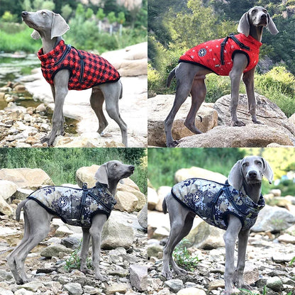 Winter Vest with Built-in Harness