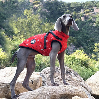 Winter Vest with Built-in Harness